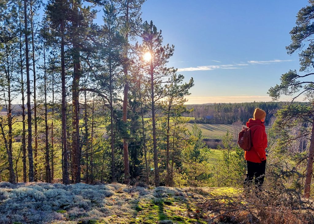 Karralan luontopolku Iitissä on todellinen kätketty aarre