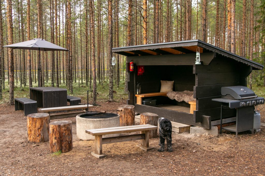 Havukka Hideawayn koirametsässä nauttii niin koirat kuin ihmisetkin